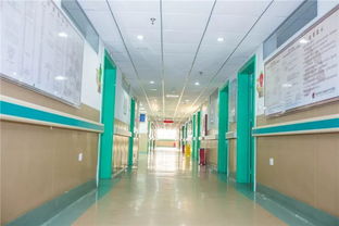 弘揚醫(yī)武精神,走大專科之路 泉州市正骨醫(yī)院滿意度調(diào)查再次獲得全省第一并成功接受 三甲 醫(yī)院復(fù)評檢閱