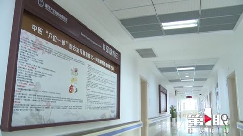 重慶已建300余個中醫(yī)重點?？坪吞厣珜？? class=