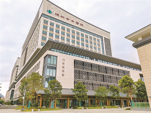 鳳凰片區(qū)加快打造總部經(jīng)濟集聚區(qū)