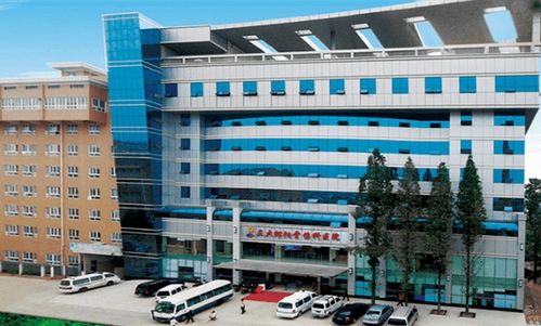 與邵陽中心城區(qū)一體化發(fā)展 新邵板塊