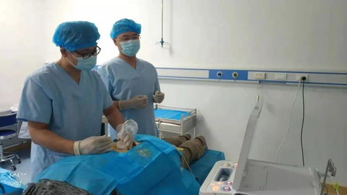 市湯崗子康復醫(yī)院加入中日友好醫(yī)院超聲可視化針刀技術(shù)?？漆t(yī)聯(lián)體