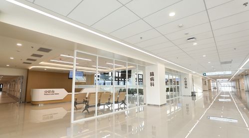 濟(jì)寧國家區(qū)域醫(yī)療中心骨傷醫(yī)院正式啟用